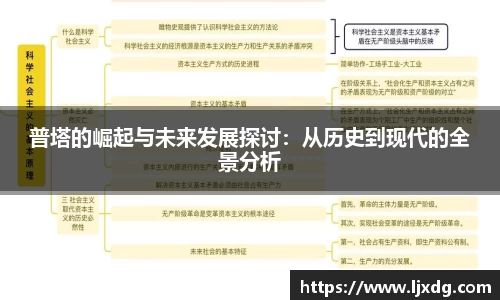 普塔的崛起与未来发展探讨：从历史到现代的全景分析